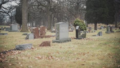 shot of gravestones at chicago cemetery