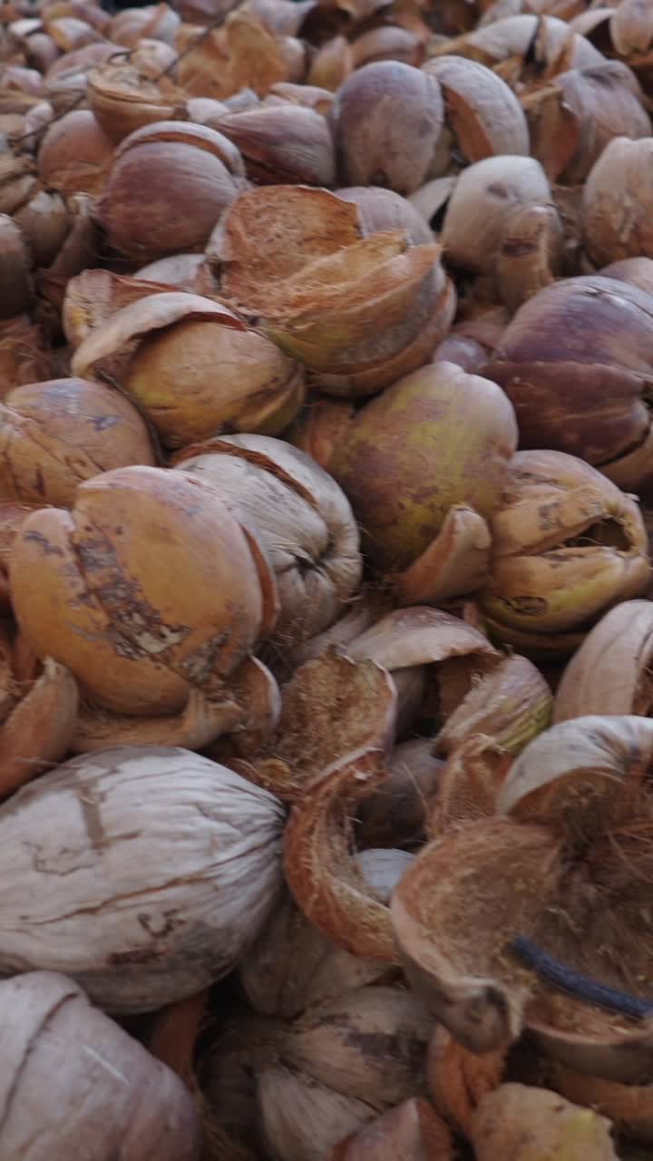 Pile of Coconut Shells