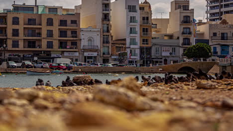 Cityscape-of-Valetta-with-street-traffic-and-pigeons-in-foreground,-time-lapse-view