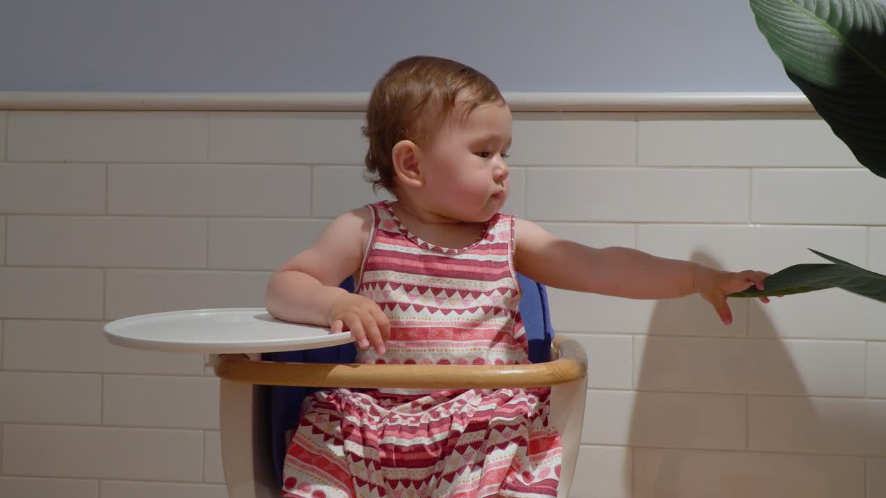 Baby girl sitting in a baby chair and touching Palm plant