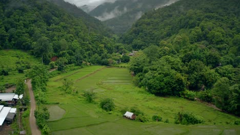 lush green valley thailand