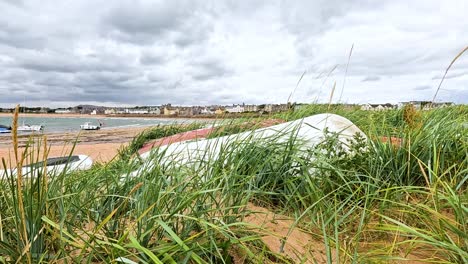 grass sways gently on a scottish beach