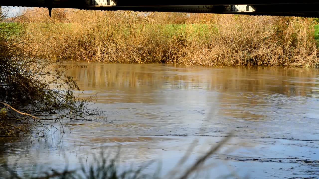 Filmed under the A614 bridge showing how high and fast flowing the River Don is