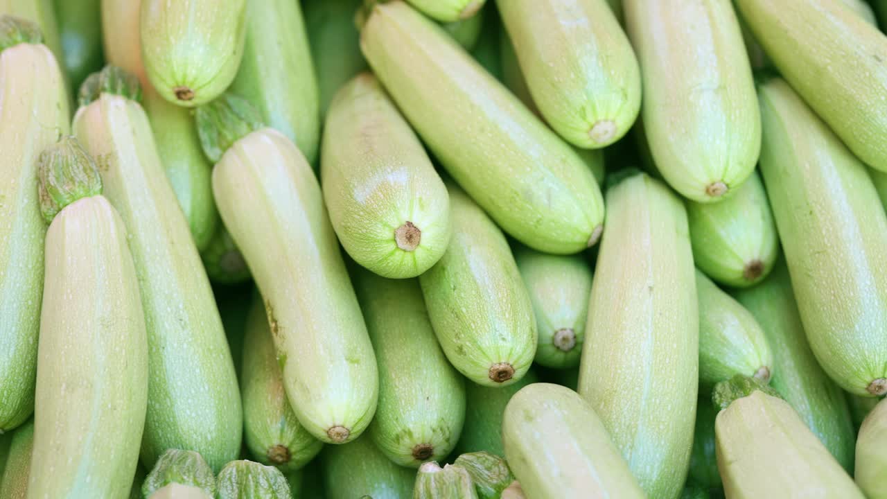 Pile of Zucchini