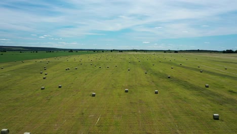 vista aérea del pajar en el campo. bala de heno de residuos de hierba. pila de heno para la agricultura. heno en rollos después de combinar la cosechadora trabajando en el campo de trigo. temporada de cosecha. fabricación de pajar.