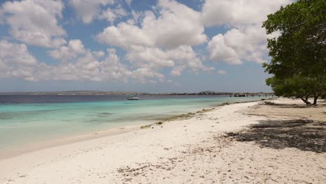 白色的沙子和驴海<unk> (bonaire)