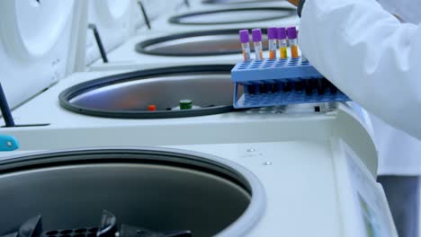 laboratory technician placing blood samples in centrifuge 4k