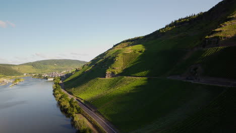 flight over lake moselle next to a vineyard