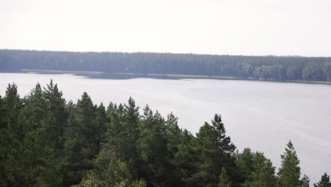 Impresionante-Paisaje-Natural-De-Bosques-Y-Ríos-Desde-Un-Punto-De-Vista-Elevado