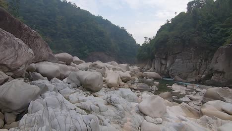 green forests with white shiny stone in unique shape at dry river bed at morning