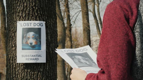 teen puts up ads for missing dogs