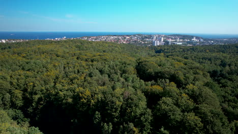 vuelo de drones sobre el bosque verde hacia el distrito costero de gdynia redłowo - cielo despejado y hermoso tiempo soleado sobre la ciudad