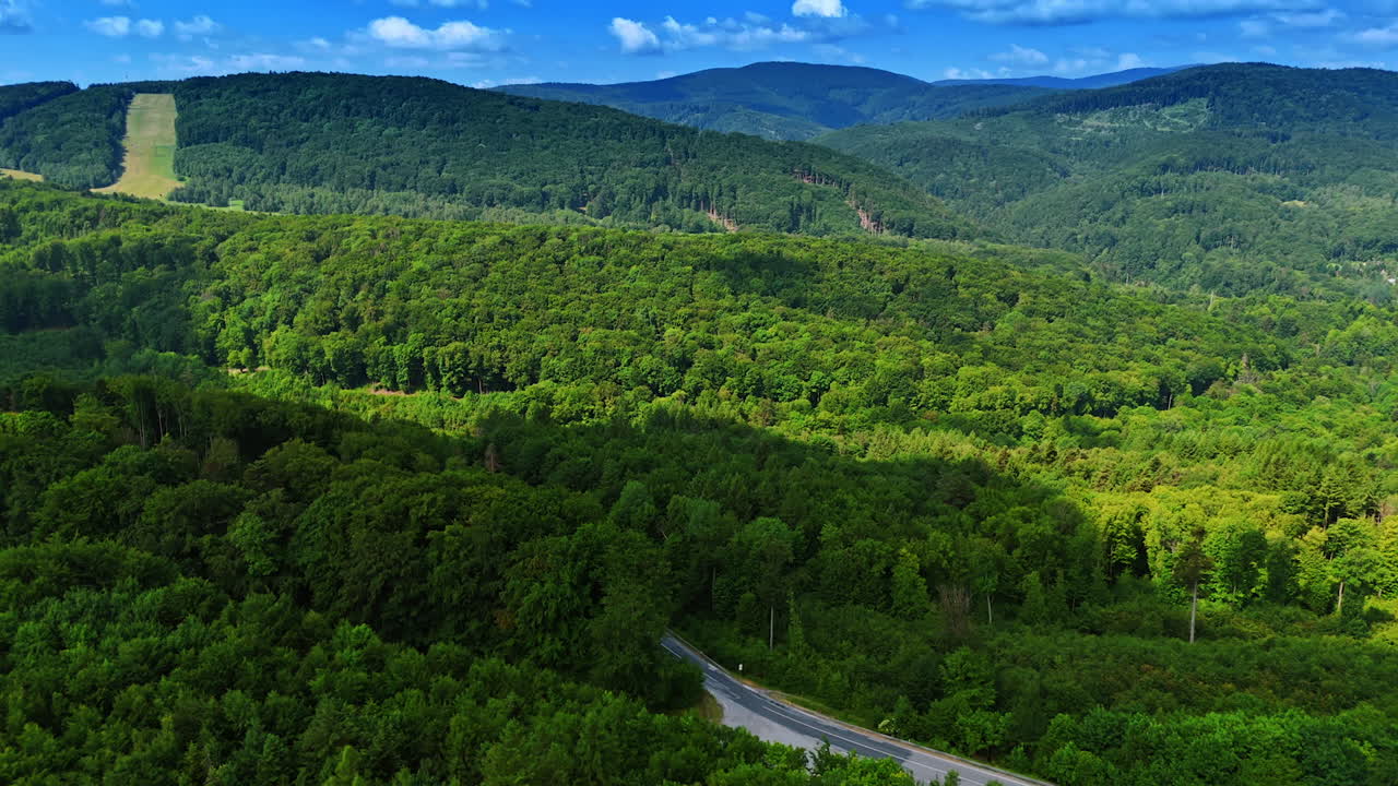 Green landscape, blue sky. Vast green forest stretches across rolling hills under a bright blue sky, with a winding road visible in the distance