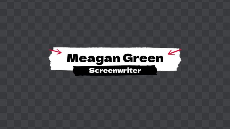 Animated Lower Third Graphic with Name and Profession