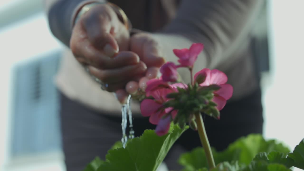 Kvinde vander en pink blomst med sine hænder i slow motion.