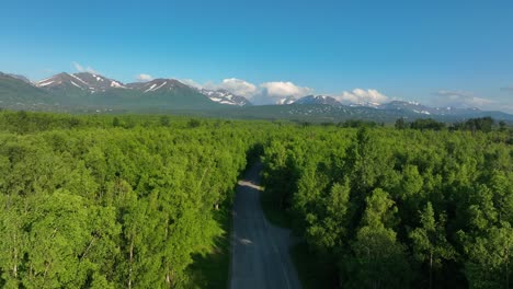 Country-Road-Between-Dense-Thicket-With-Snow-Mountains-At-Background