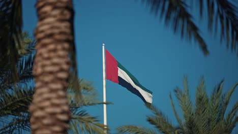 Die-Flagge-Der-Vereinigten-Arabischen-Emirate-Weht-Am-Fahnenmast,-Eingerahmt-Von-Palmen,-Auf-Der-Flaggeninsel-Sharjah-In-Den-Vereinigten-Arabischen-Emiraten