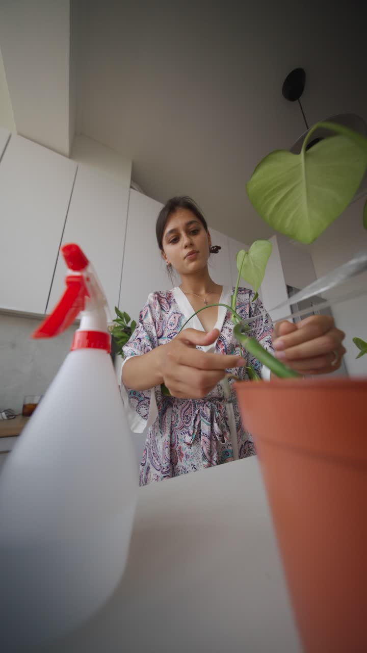 Woman Caring for Houseplants in Kitchen