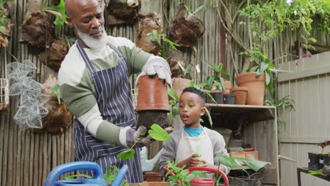 Happy-senior-african-american-man-with-his-grandson-potting-up-plants-in-garden