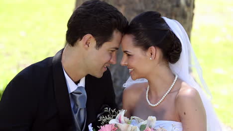 Happy-newlyweds-sitting-in-the-park-beside-a-tree