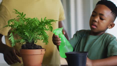 african american boy spraying water on the plant pot at home