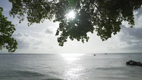 establecida en el mar del caribe en la isla de barbados con embarcaciones