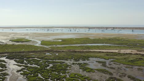 Tiefflug-über-Grünes,-Sumpfiges-Meerwasser-Auf-Viele-Im-Wasser-Verankerte-Boote-Zu,-Drohnenantenne