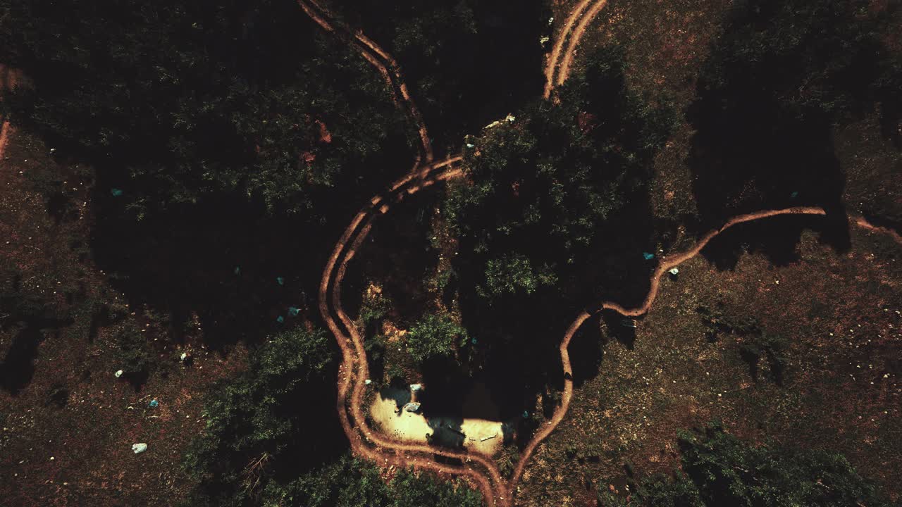 vista aérea de la carretera a través del bosque