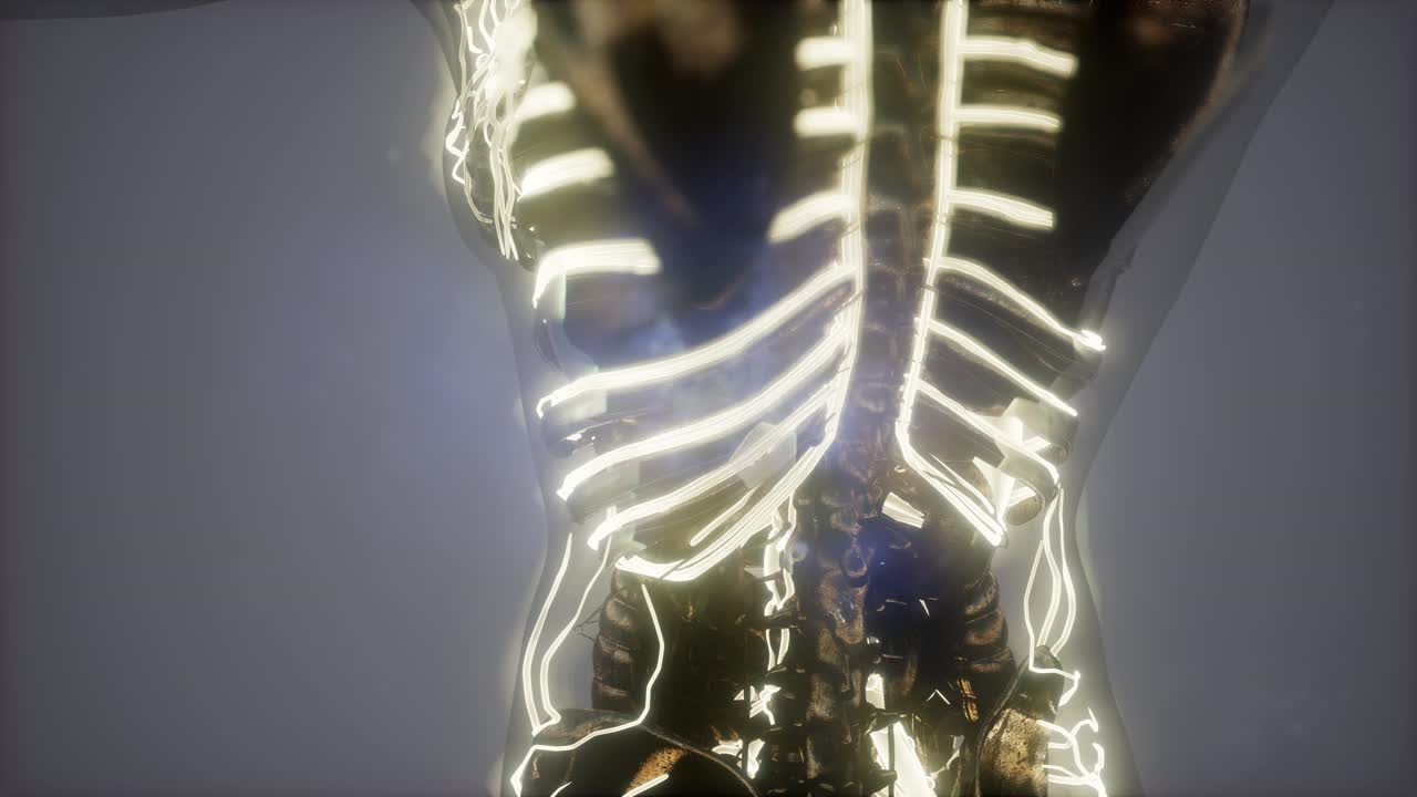 빛나는 혈관으로 된 인체