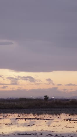 A tranquil sunset over a reflective field