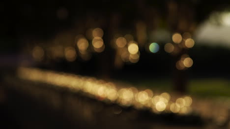 out of focus small garden lights bokeh background copyspace night