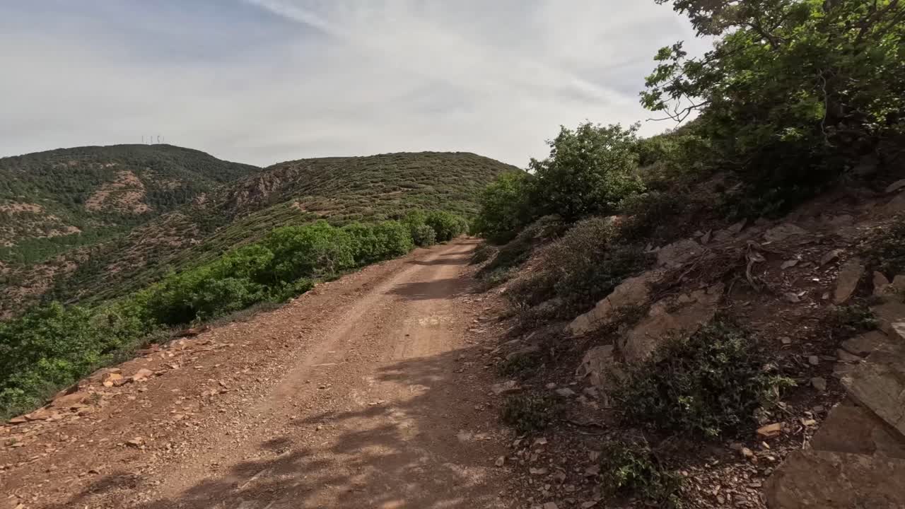 lapso de tiempo del conductor de la motocicleta a través de una carretera forestal rodeada de grandes árboles verdes