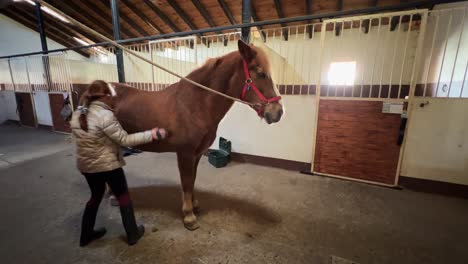 Stallinnenszene-Des-Kleinen-Mädchens,-Das-Pferd-Putzt