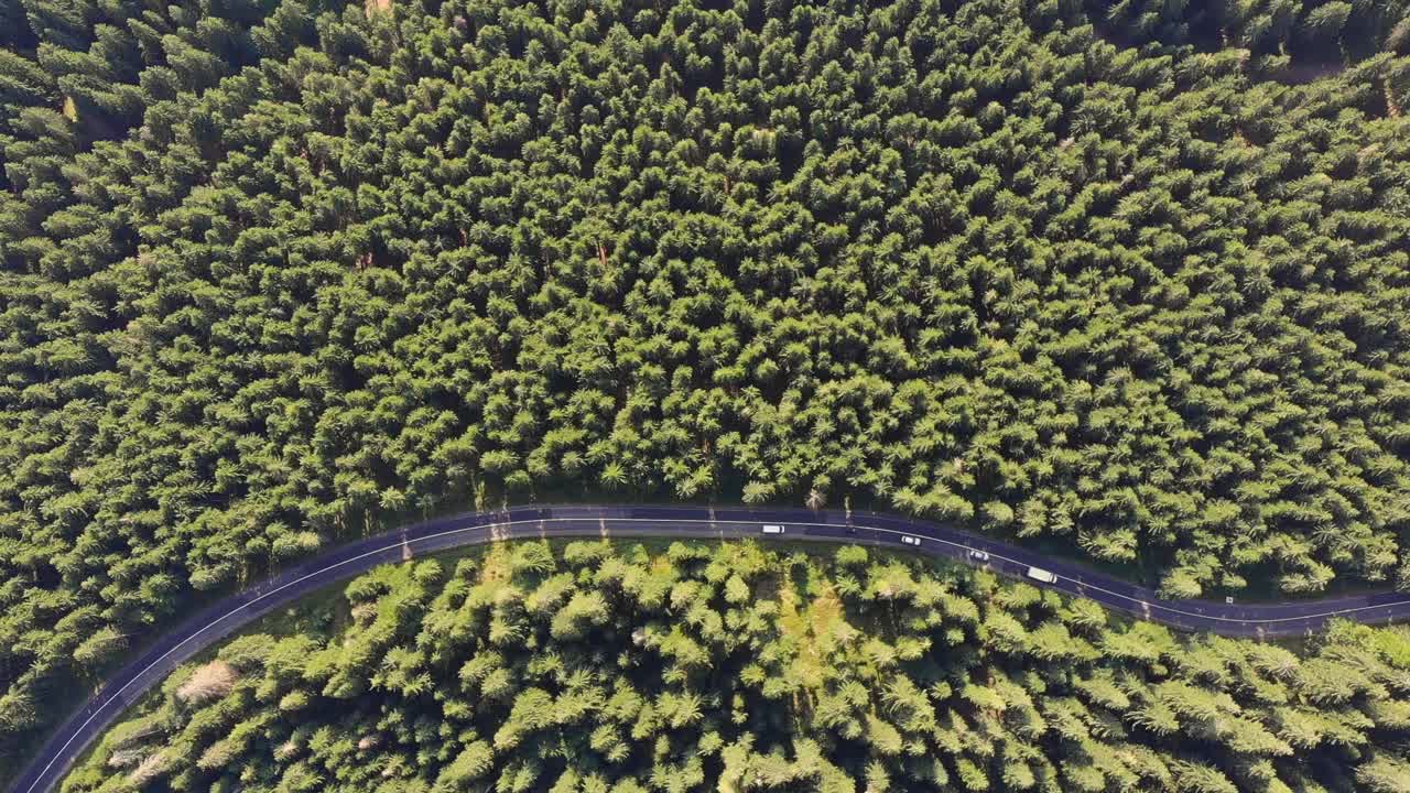 Car driving on a road in the forest of Sovata at sunset. Aerial drone shot. Bird view
