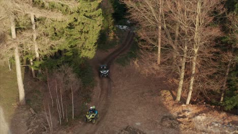 all-terrain vehicles driving across dirt road between coniferous forest