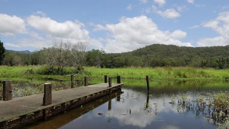 vista pacífica del lago con montañas y muelle