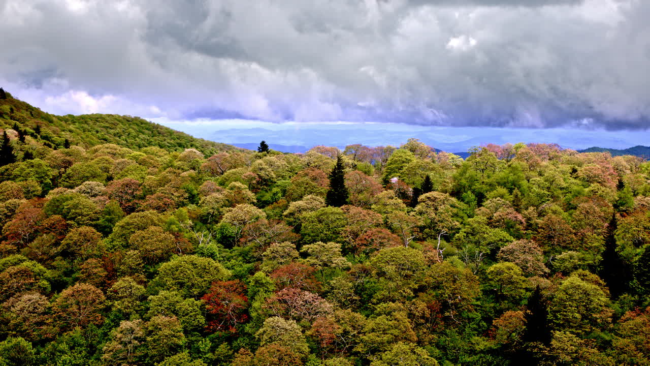 Overhead drone shot flying above rainy, fog-covered wilderness in the Smoky Mountains