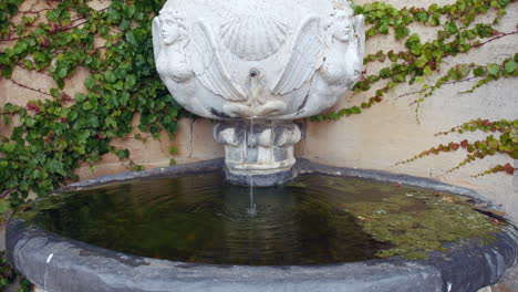 fuente de agua de piedra italiana, griega o inglesa