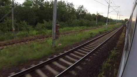 Una-Vista-Del-Bosque-Desde-Un-Tren-En-Movimiento-Rápido