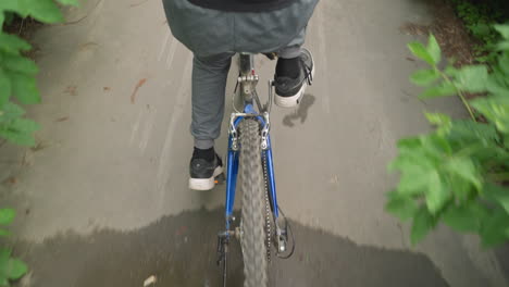 back view of someone cycling along a wet paved road with white markings, surrounded by lush roadside greenery, the cyclist pedals off, leaving water tracks on the road surface