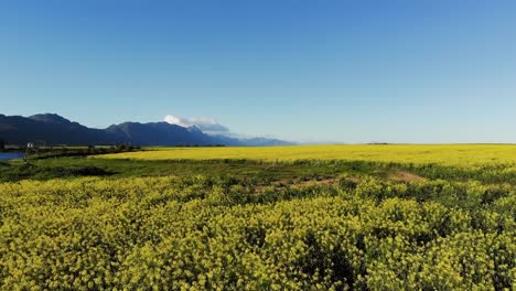 General-view-of-countryside-landscape-with-cloudless-sky