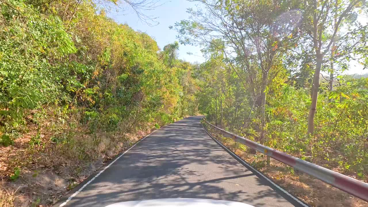 A serene drive through Chonburi's verdant roads, surrounded by dense greenery under bright sunlight, capturing the tranquil beauty of nature