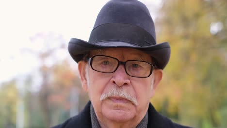 portrait of a grandfather in a hat who adjusts his glasses while standing in an autumn park portrait of a grandfather in a hat who adjusts his glasses while standing in an autumn park