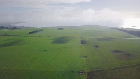 Amazing-aerial-flight-over-green-field-towards-coastline-in-Tasmania,-Australia