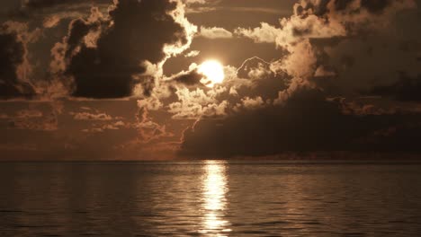 beach sunrise with bird silhouette flying by skimming close to ocean water