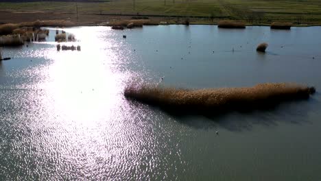 circling around the reed islands.aerial drone shot