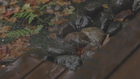 close up of rain water falling on peddles in a garden