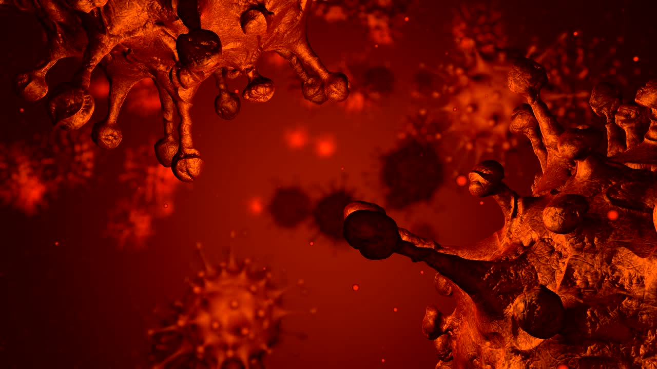 vista microscópica de las células infecciosas del virus sars-cov-2