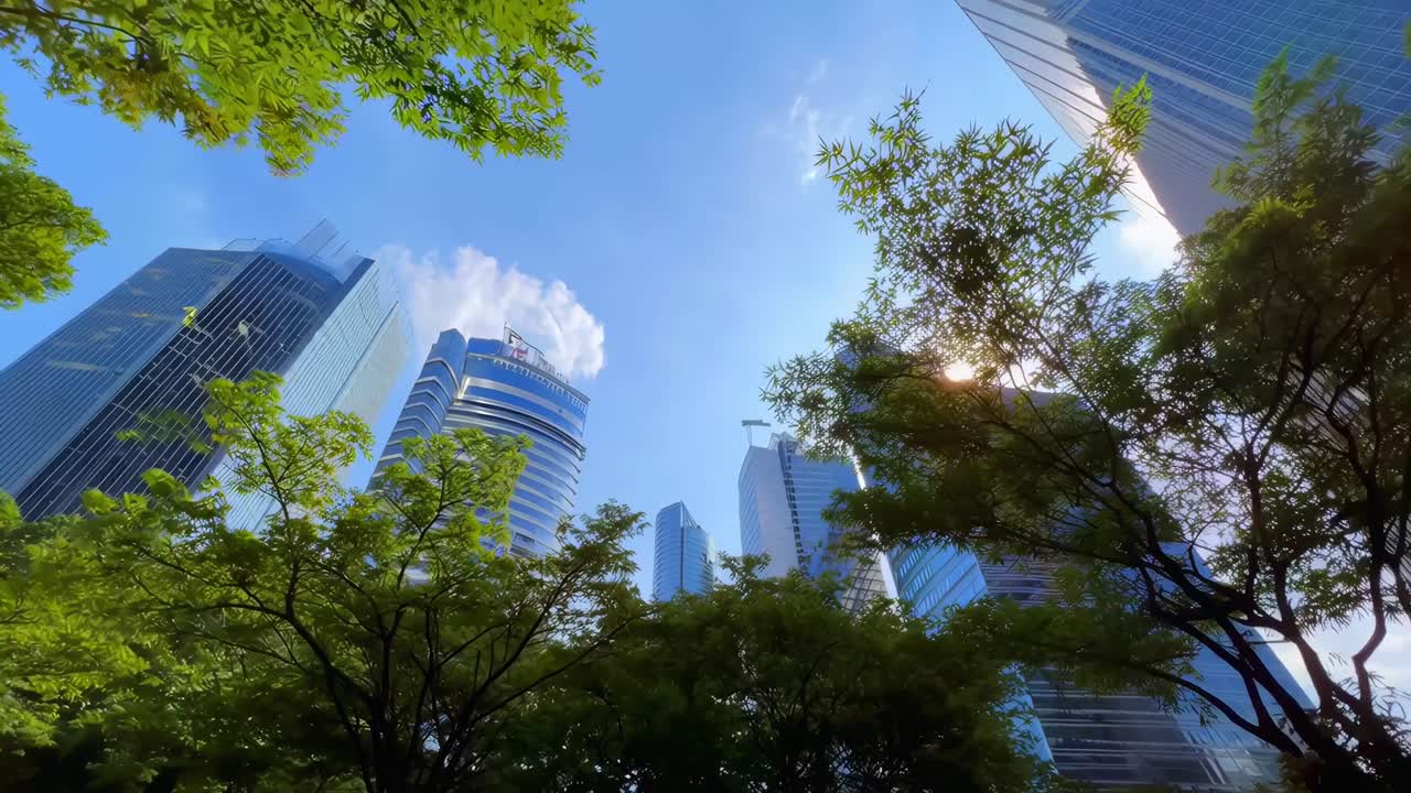 Vídeo em ângulo baixo de arranha-céus emoldurados por exuberantes árvores verdes, capturando a harmonia entre a natureza urbana, Ao vivo