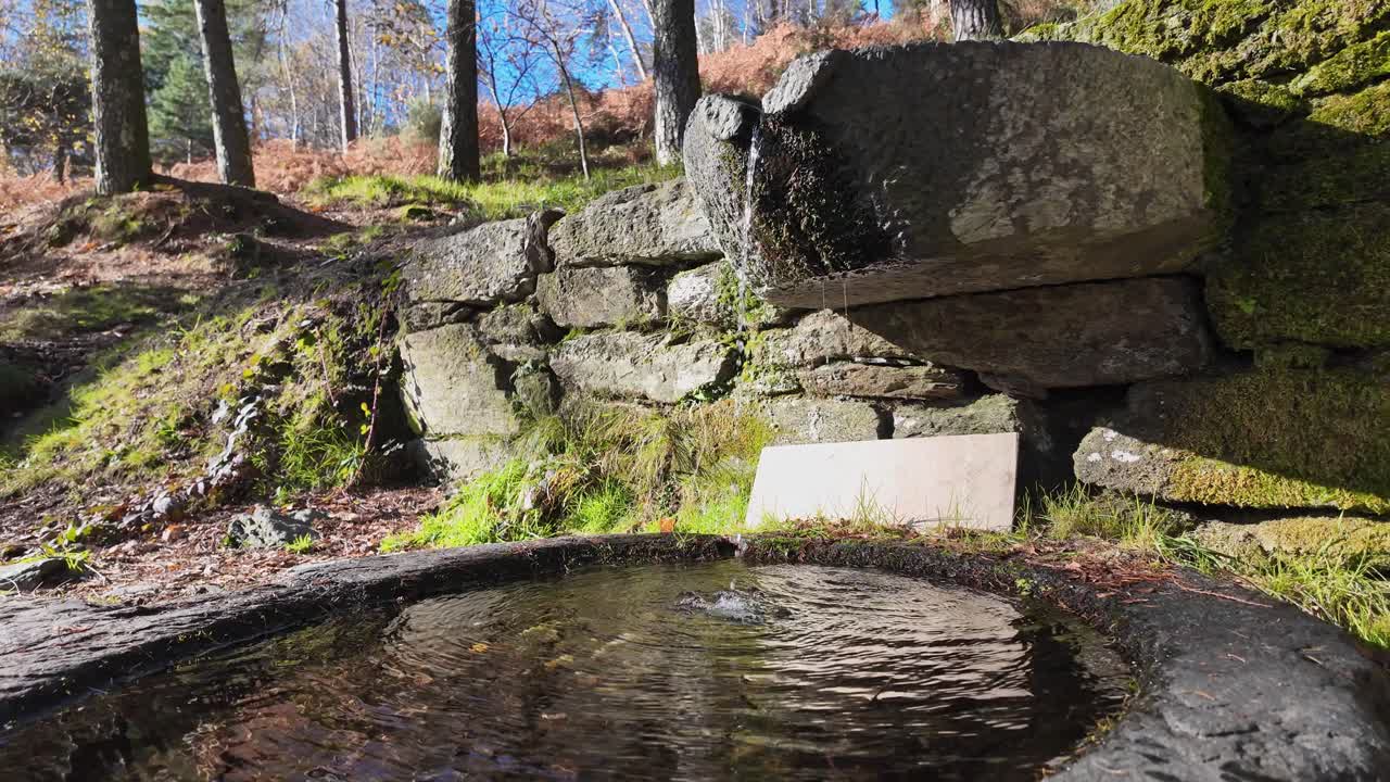 Fontana in un bosco al rallentatore